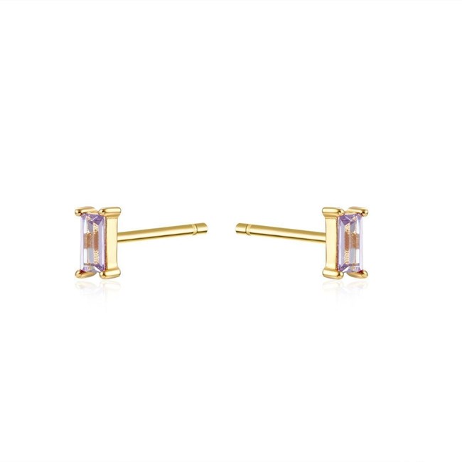 Foto de Pendientes MONTANA Plata Amatista con Circonita Gold